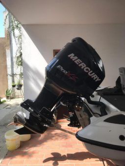 
										BOTE DE PESCA DEPORTIVA TRITON TR-186 19 full									