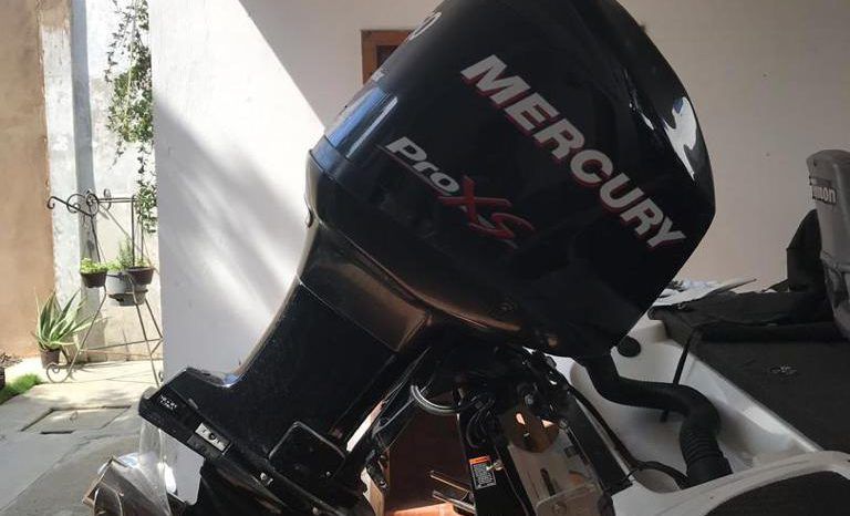 
								BOTE DE PESCA DEPORTIVA TRITON TR-186 19 full									