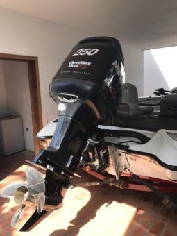 
										BOTE DE PESCA DEPORTIVA TRITON TR-186 19 full									