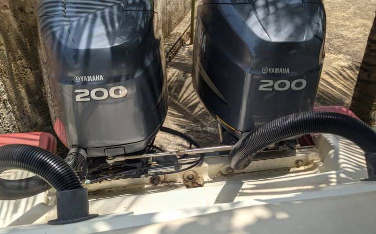 
								PROMARINE SPORT 25 full									