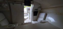 
										PROMARINE SPORT 25 full									