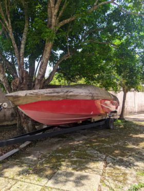 PROMARINE SPORT 25