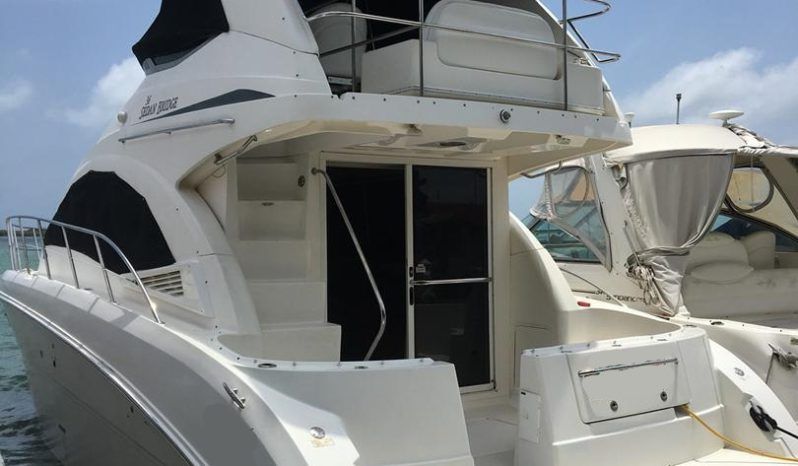 
								SEA RAY SEDAN BRIDGE 36 full									