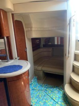 
										SEA RAY SUNDANCER 44 full									