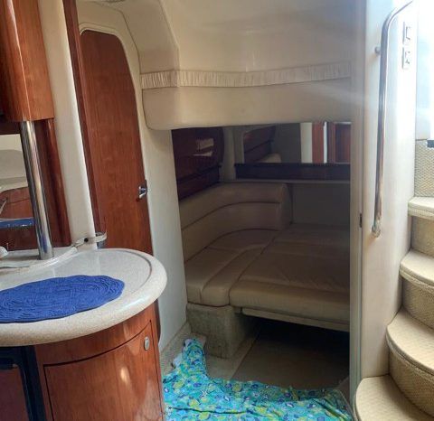 
								SEA RAY SUNDANCER 44 full									