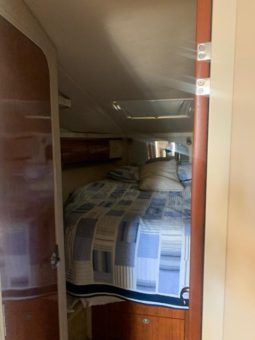 
										SEA RAY SUNDANCER 44 full									