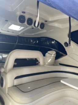 
										SEA RAY SUNDANCER 44 full									