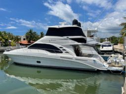 
										SEA RAY SEDAN BRIDGE 58 full									