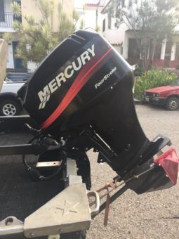 
										MANLIO STARCRAFT 15.5 full									