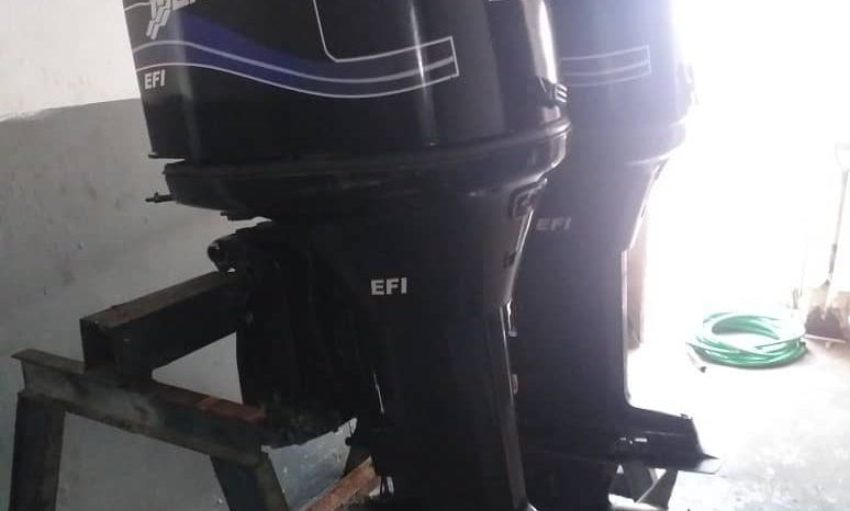 
								PAREJA MOTORES MERCURY EFI full									