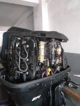 
										PAREJA MOTORES MERCURY EFI full									