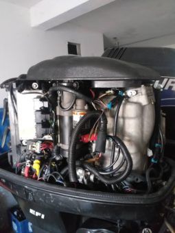 
										PAREJA MOTORES MERCURY EFI full									