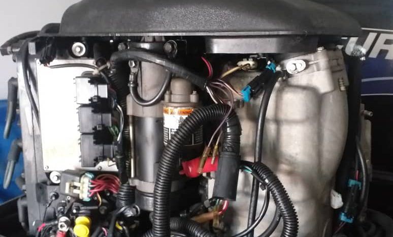 
								PAREJA MOTORES MERCURY EFI full									