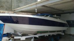 
										CHAPARRAL 24 full									