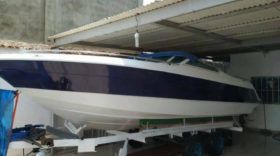 CHAPARRAL 24