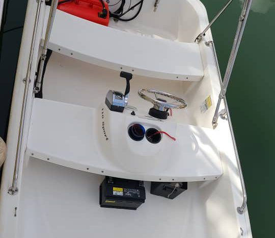 
								BOSTON WHALER 11 full									
