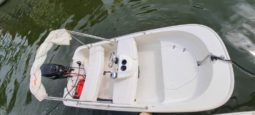 
										BOSTON WHALER 11 full									