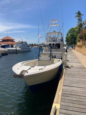 PALMETTO OPEN 33