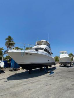 
										SEA RAY SEDAN BRIDGE 58 full									