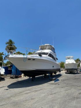 SEA RAY SEDAN BRIDGE 58