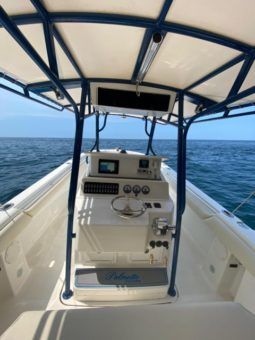 
										PALMETTO OPEN 33 full									