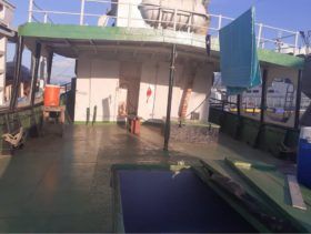 BARCO PESQUERO 17.4