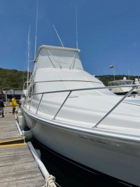 BERTRAM CONVERTIBLE 51