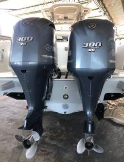 
										PROMARINE OPEN 33 full									