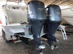 
										PROMARINE OPEN 33 full									