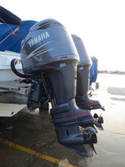 
										PROMARINE OPEN 33 full									