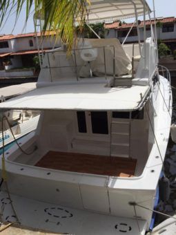 
										VIEIRA FLY BRIDGE 45 full									