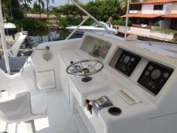 
										VIEIRA FLY BRIDGE 45 full									