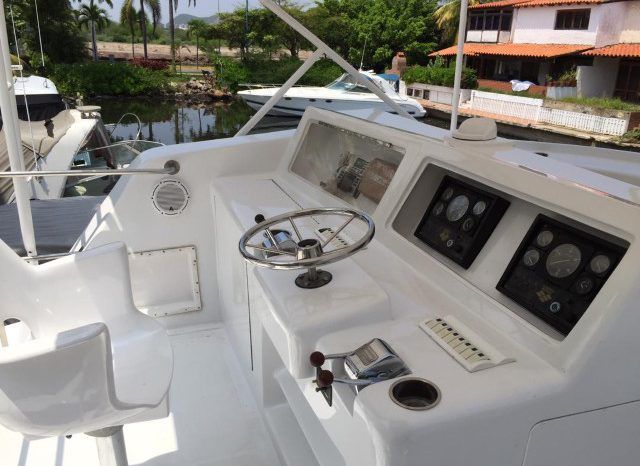 
								VIEIRA FLY BRIDGE 45 full									