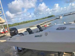 
										EVOLUTION SPORT 22 full									