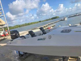 EVOLUTION SPORT 22