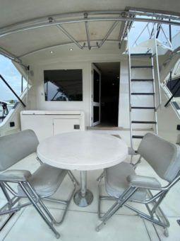 
										BERTRAM SPORT FISHERMAN 43 full									