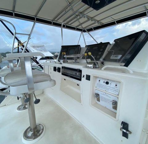
								BERTRAM SPORT FISHERMAN 43 full									