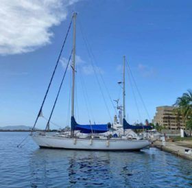 VELERO CICR KOALA 50
