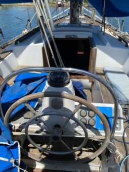 
										VELERO CICR KOALA 50 full									