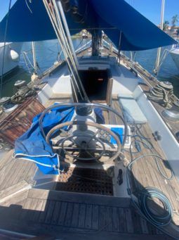 VELERO CICR KOALA 50