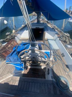 VELERO CICR KOALA 50