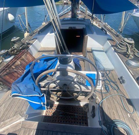 
								VELERO CICR KOALA 50 full									