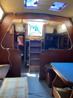 
										VELERO CICR KOALA 50 full									