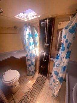 
										VELERO CICR KOALA 50 full									