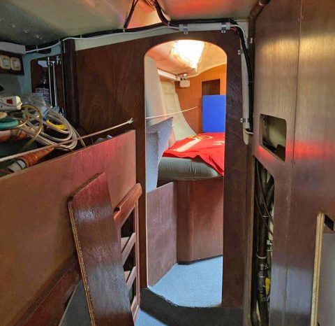 
								VELERO CICR KOALA 50 full									