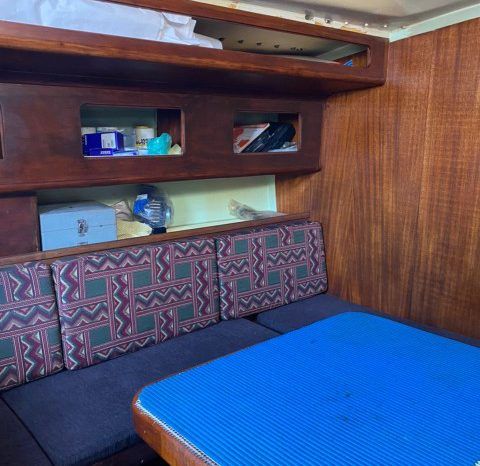 
								VELERO CICR KOALA 50 full									