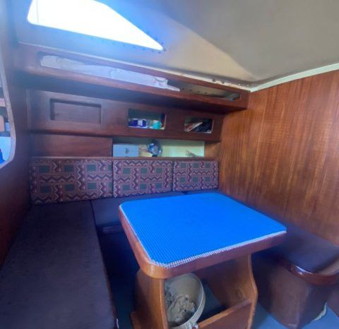 
								VELERO CICR KOALA 50 full									