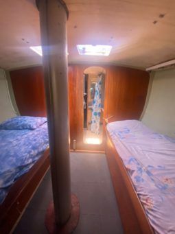 
										VELERO CICR KOALA 50 full									