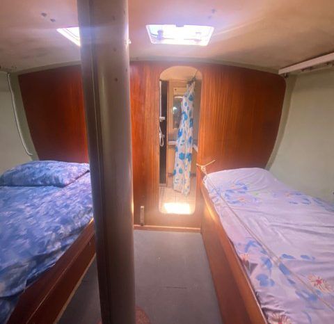 
								VELERO CICR KOALA 50 full									