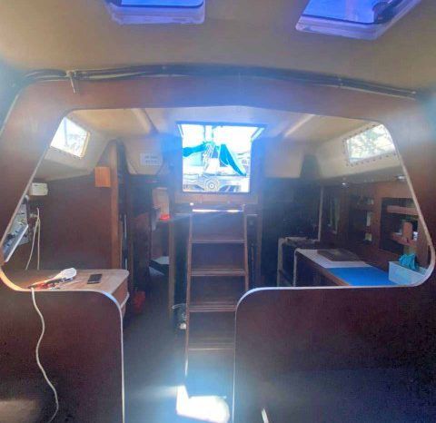 
								VELERO CICR KOALA 50 full									